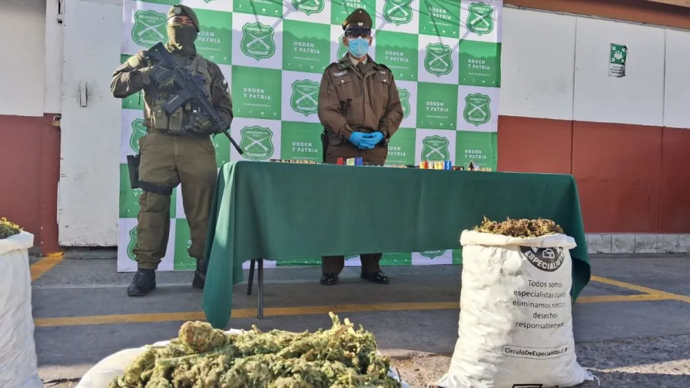 En los últimos días la policía uniformada realizó el mayor decomiso de droga realizado en el Valle de Elqui, en los cerros de la comuna de Vicuña, uno de los delitos más millonarios. EL DÍA
