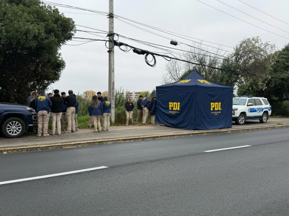 Fotografía: Cristian Silva.