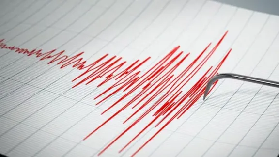 Sismo de magnitud 7,5 en el sur de Chile provoca alerta de tsunami