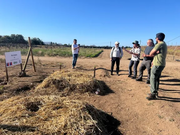 Desechos salmoneros como nutriente para plantas