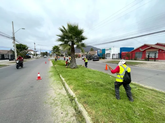 OHL Ingesan se encargará de áreas verdes en La Serena