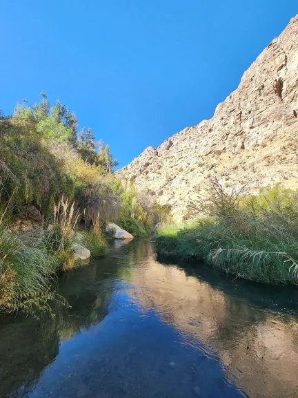 Tribunal ratifica Santuario de la Naturaleza Río Cochiguaz