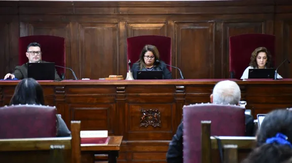 Extradición de acusado por crimen de Ana M. Pizarro y María José Zambra en duda