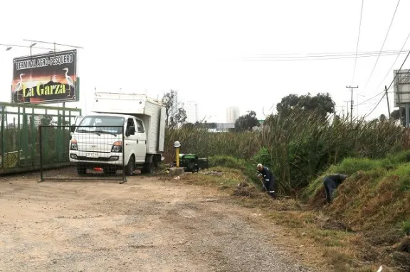 Denuncian riesgo sanitario y ambiental por rotura de tubería en Coquimbo