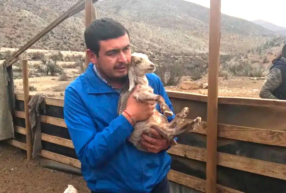 De acuerdo a Contraloría, Yerko Galleguillos figura como parte de la Sociedad Comercial Doña Violeta SpA, empresa cuya actividad está centrada en la cría de cabras y la elaboración de productos lácteos.