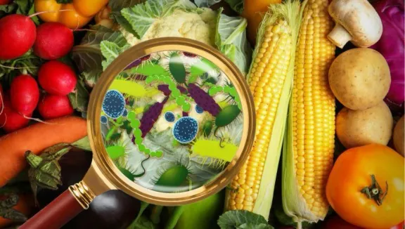 Recomendaciones para prevenir infección por Listeriosis