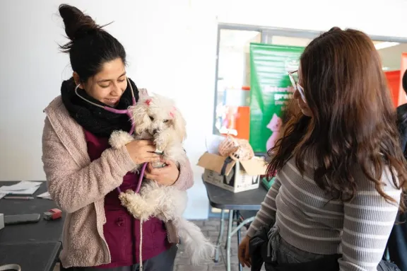 Plan de esterilización gratuita en Tierras Blancas y comuna Plan de esterilización gratuita en Tierras Blancas y comuna
