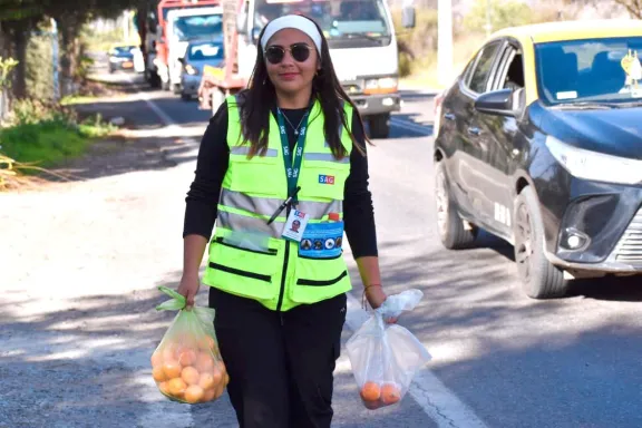 Interceptan más de 100 kilos de fruta en campaña contra Ceratitis capitata
