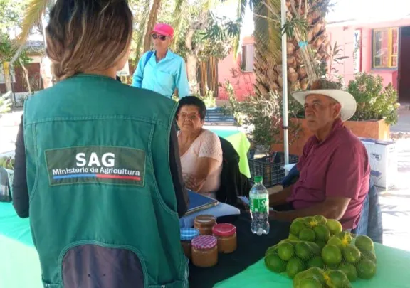 Agricultores aún esperan por ayuda del nivel central frente a plaga de mosca de la fruta