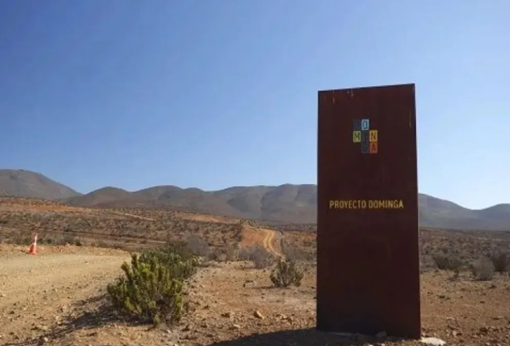 TC declara inadmisible requerimiento de inaplicabilidad presentado contra Dominga