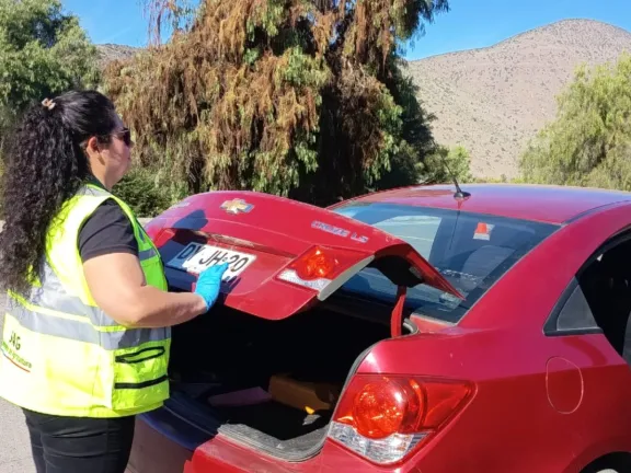 Alcaldes piden investigación por irregularidades en campaña de Mosca de la fruta