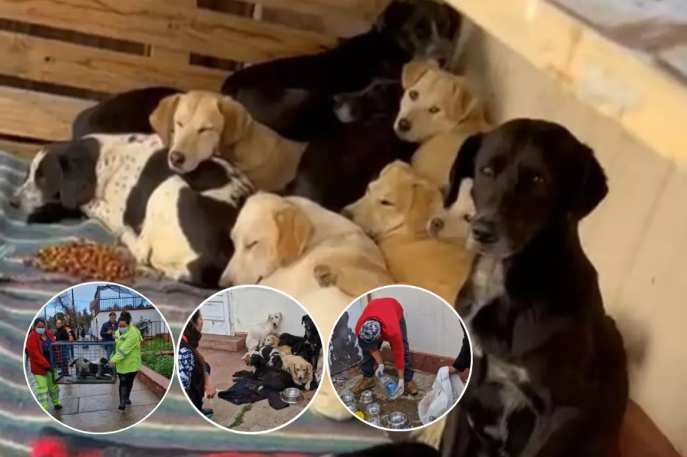 Fotografías cedidas.