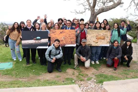 Nuevas especies de arácnidos e insectos en Coquimbo