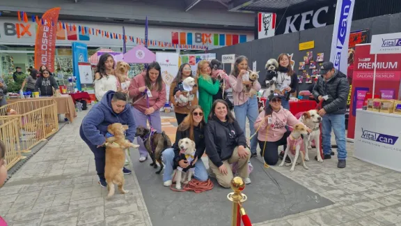 Desfile canino Fashion Guaguis en perruqueria Gauguis Home