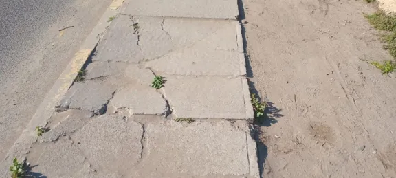 Repavimentación de vereda oriente en avenida del mar