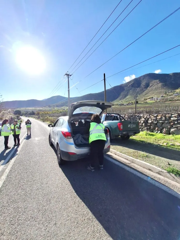 Actualmente, el SAG cuenta con 500 personas extra con respecto a su personal habitual para reforzar los controles sanitarios. CEDIDA
