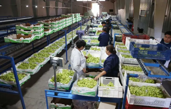 Región de Coquimbo lidera en remuneraciones del sector privado