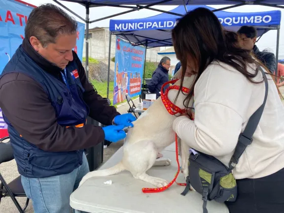 Vacunación de más de 900 mascotas contra la rabia