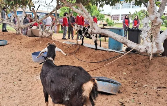Liceo de Tierras Blancas afectado por ola de robos