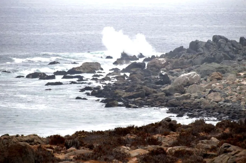 El proyecto de la desaladora estará ubicado en el sector de El Panul, al sur de Coquimbo, y pronto iniciará un nuevo proceso de participación  ciudadana, luego que se detallaran posibles impactos a la actividad humana del sector. / EL DÍA