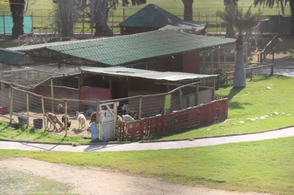 Animales de Parque Pedro de Valdivia serán dados en adopción Animales de Parque Pedro de Valdivia serán dados en adopción