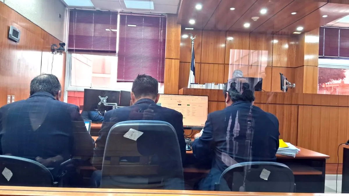 Fraude en la CGGV: rol de “palos blancos” de Nicole Cadena Munita