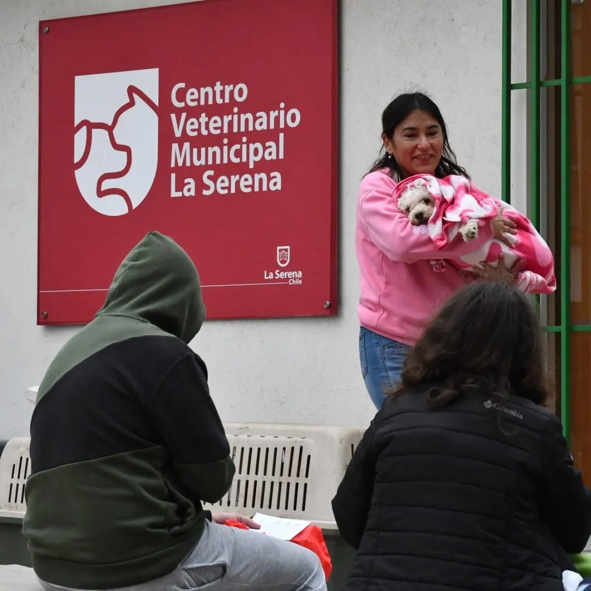 Irregularidades en centro veterinario de La Serena por eutanasia sin documentación