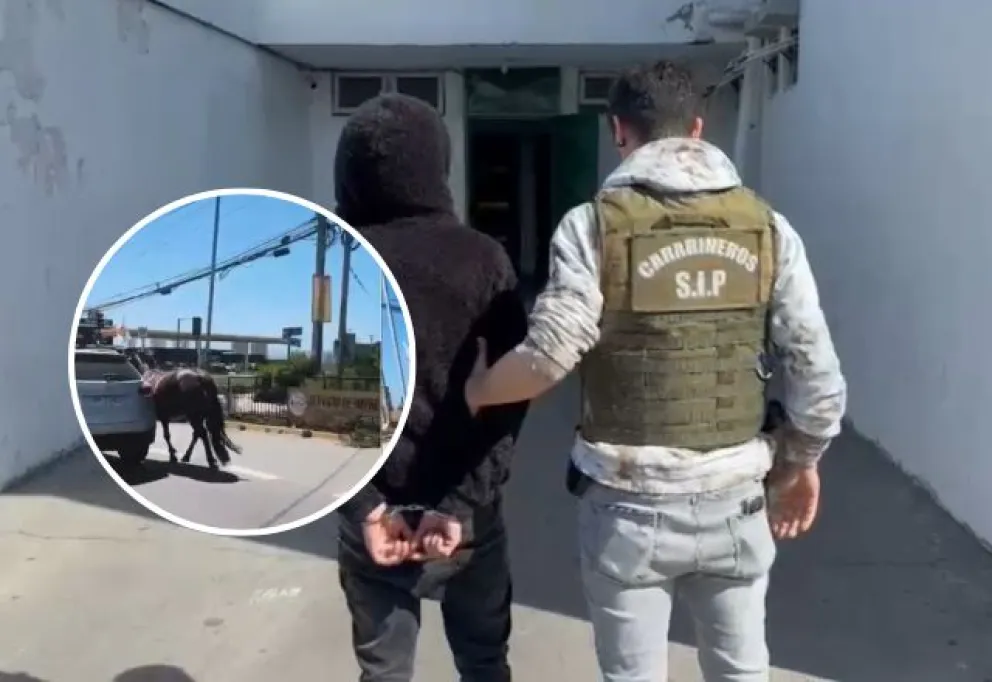 Videos, testimonios y huellas: las pruebas que reconstruyen cómo actuó imputado por caso de yegua ‘Colorada’