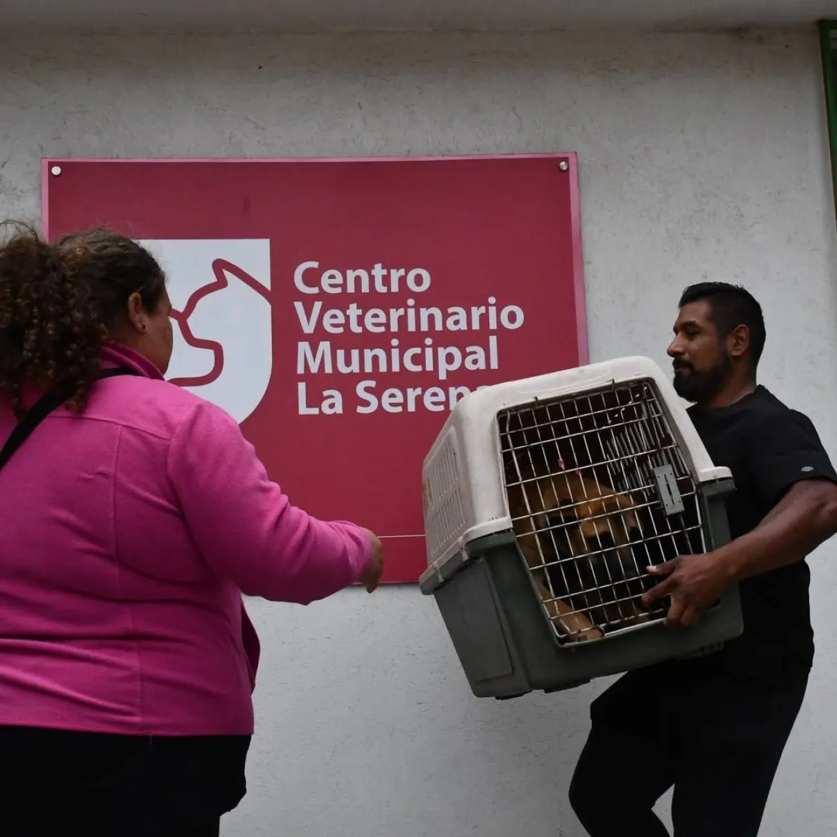 Irregularidades en eutanasias sin respaldo clínico en Centro Veterinario Municipal