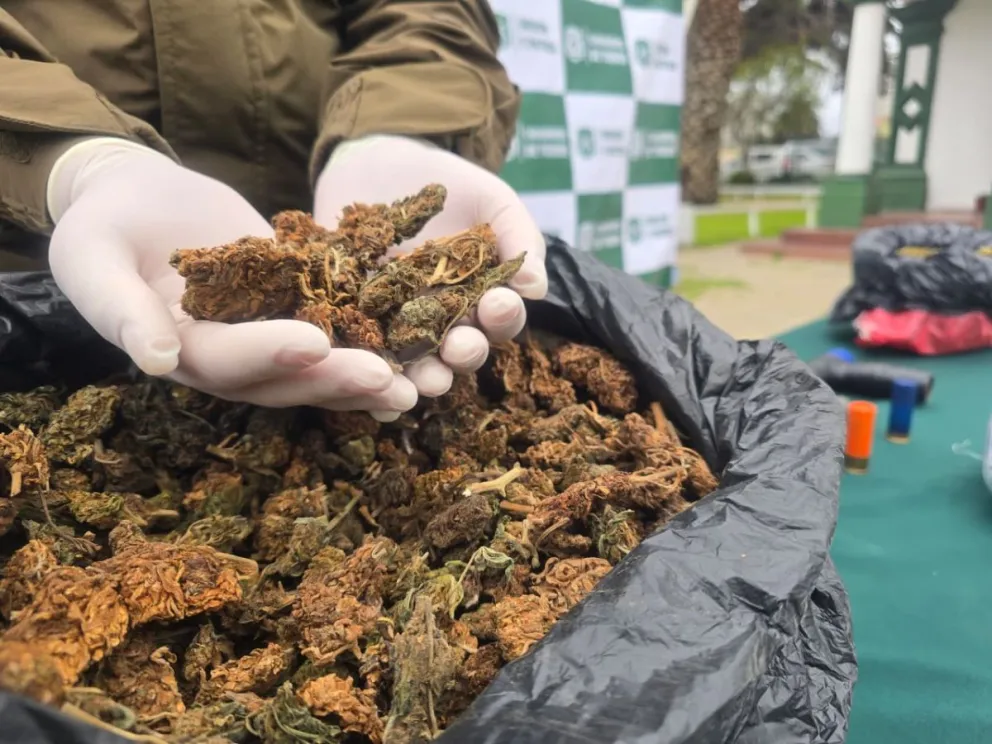 Desarticulan organización criminal dedicada al tráfico de drogas en Vicuña