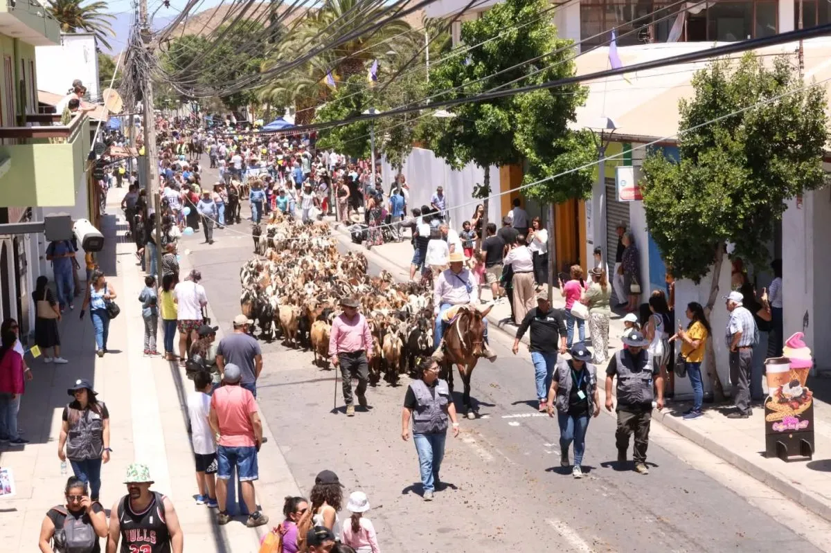 Avanzan gestiones por veranadas en Argentina