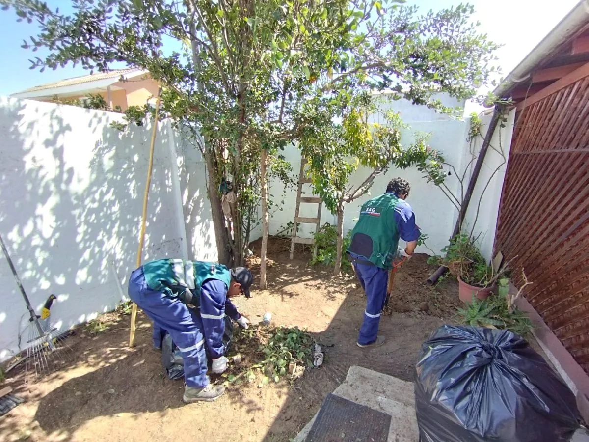 SAG confirma captura de mosca de la fruta en Sotaquí