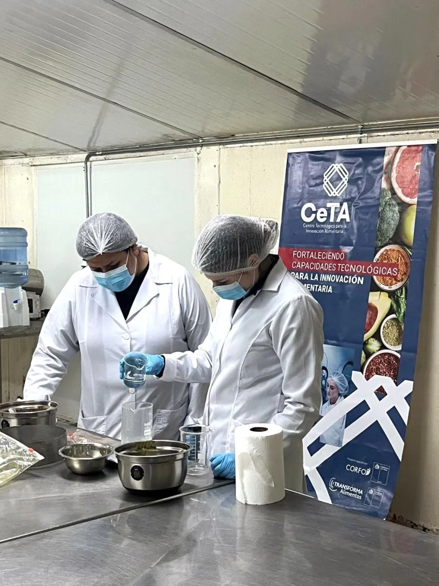 Gomitas de betarraga de descarte validadas Gomitas de betarraga de descarte validadas