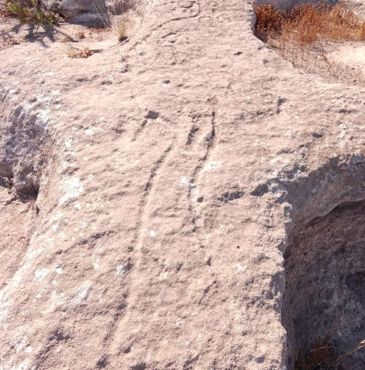 Petroglifos de 5 mil años declarados patrimonio nacional Petroglifos de 5 mil años declarados patrimonio nacional