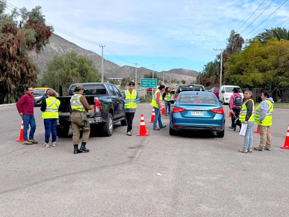 SAG finaliza campaña contra mosca de la fruta en Monte Patria