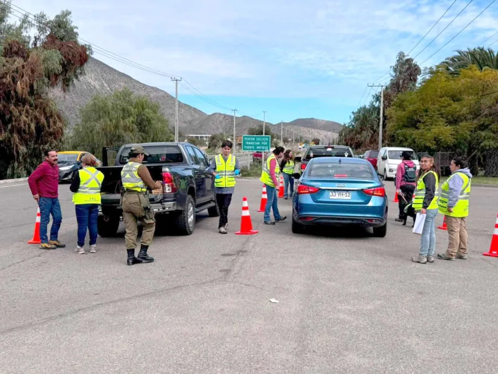 Monte Patria: SAG finaliza campaña por mosca de la fruta en San Clemente