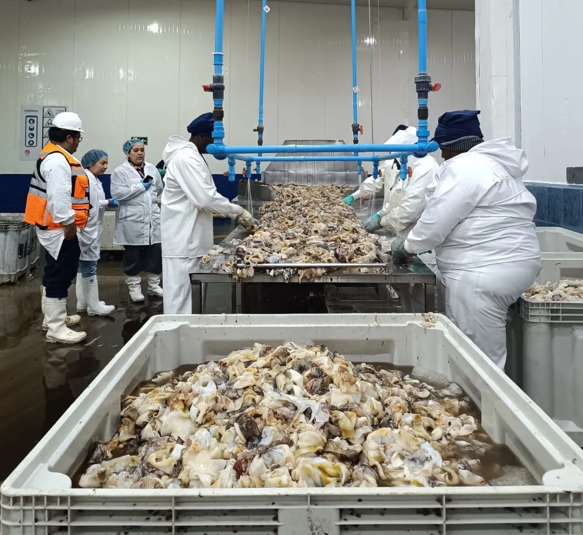 Crecen exportaciones Región Coquimbo 49,9% enero-octubre