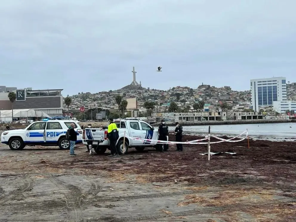 Caso Descuartizado: condenan a presidio perpetuo a “El Lenguado”, autor del brutal crimen en Coquimbo