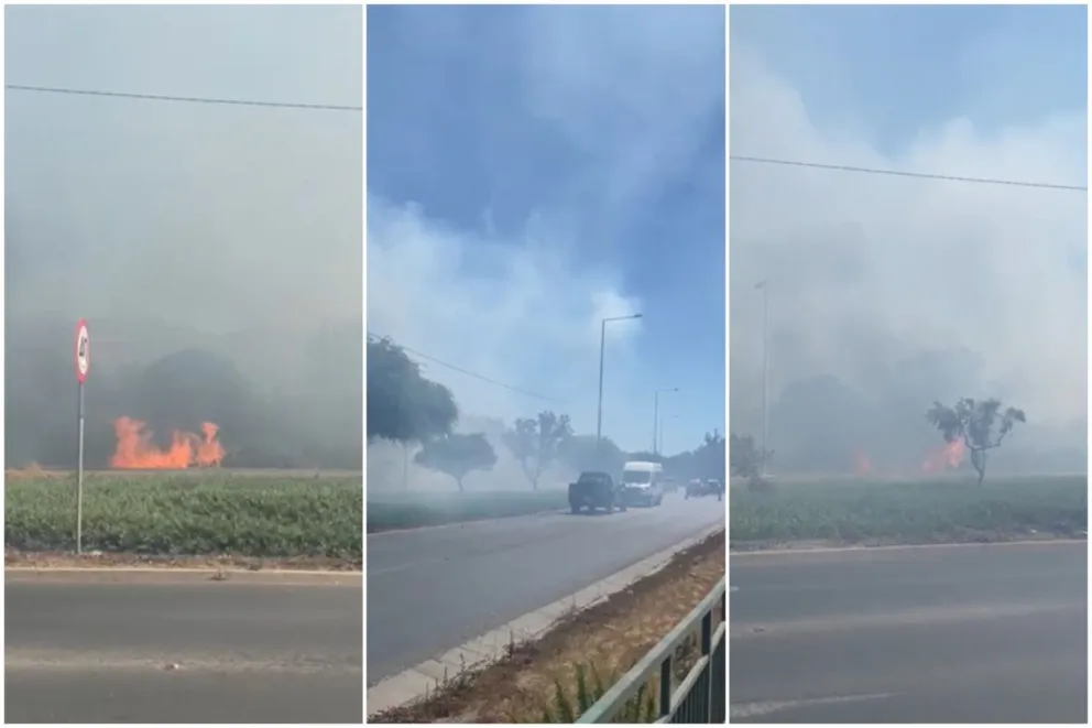 Declaran Alerta Amarilla en Ovalle por incendio forestal