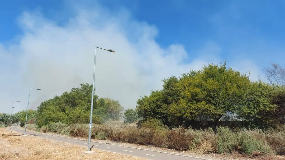 Controlan incendio forestal en Ovalle