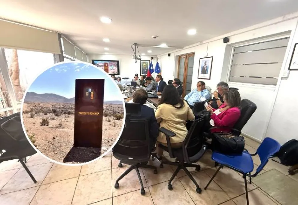 Consejeros regionales aclaran dudas y alcances del proyecto Dominga