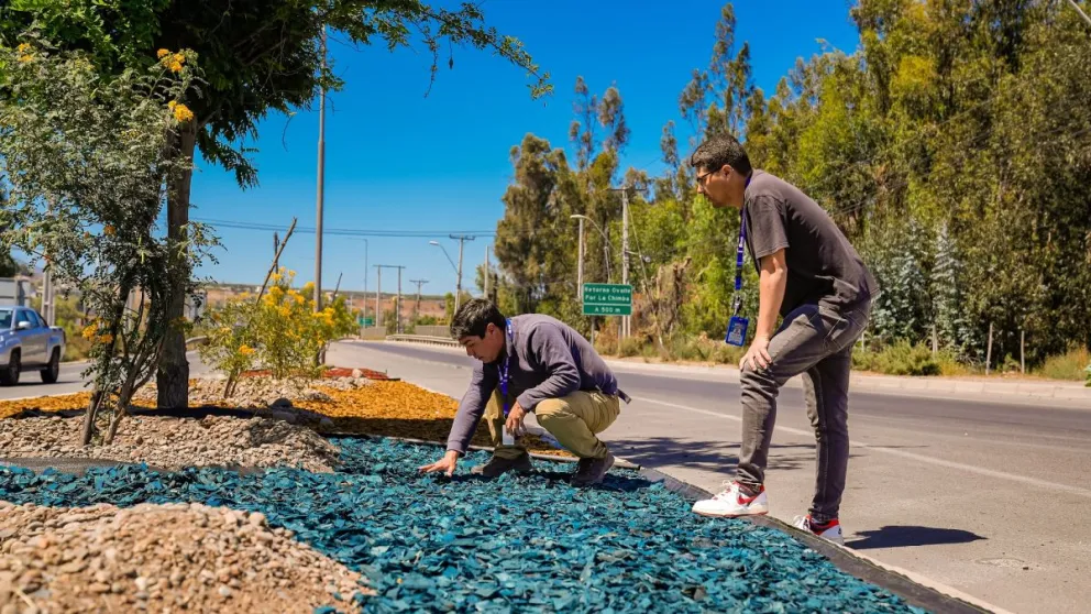 Realizan trabajos de hermoseamiento en distintos sectores de Ovalle