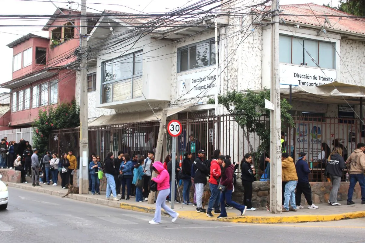Caos en Ovalle por renovación de licencias de conducir