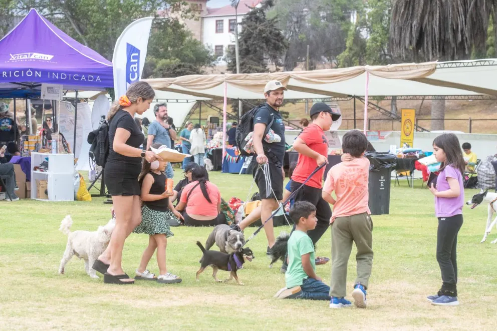 Feria Peludos llenó de alegría, adopciones y espíritu navideño a La Serena
