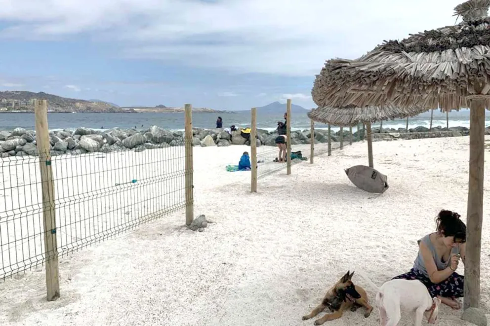Aumentan las denuncias por cierre de playas en la región: conoce multas que arriesgan los infractores