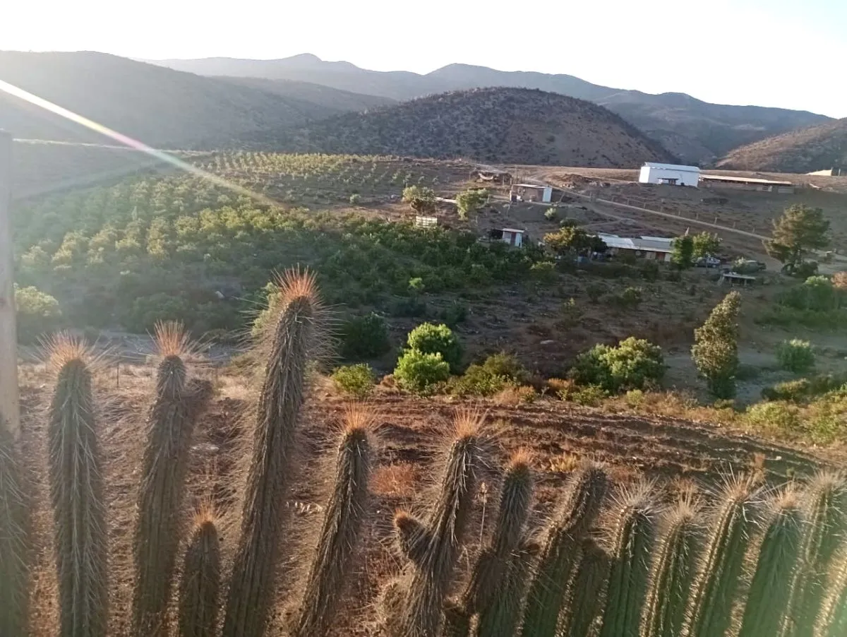 Preocupante caída de población rural en la región según censo 2024 Preocupante caída de población rural en la región según censo 2024