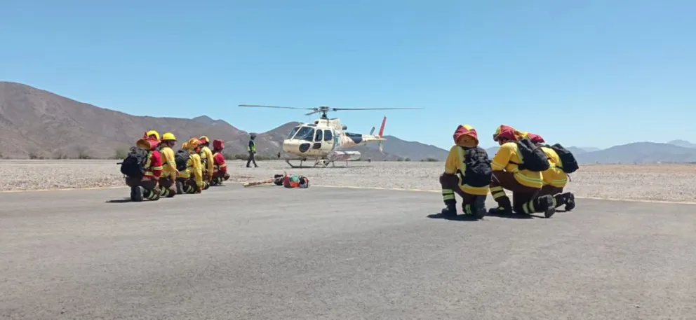 Limarí concentra casi la mitad de los incendios forestales de la región