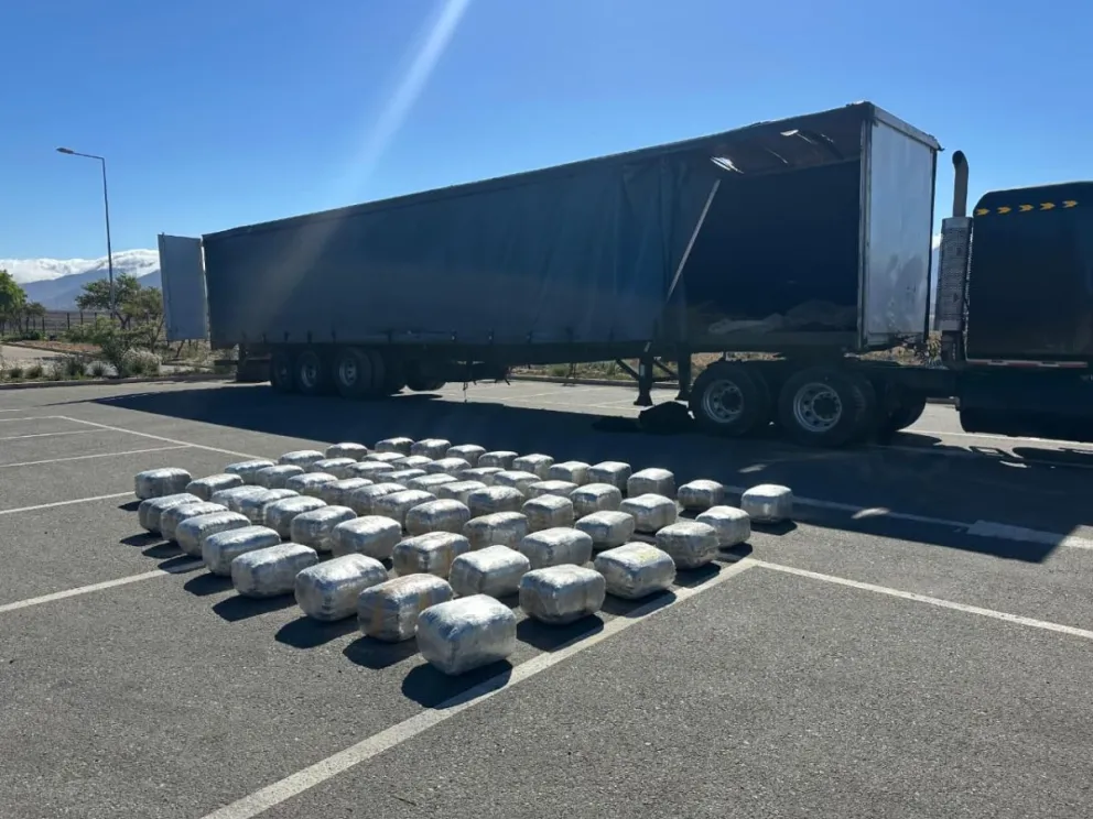 La Higuera: Fiscalización carretera revela traslado de casi 300 kilos de marihuana