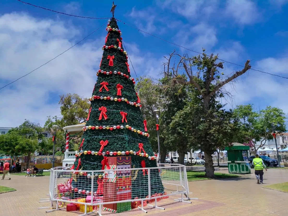 La Serena prepara ferias navideñas y más fiscalización de ambulantes La Serena prepara ferias navideñas y más fiscalización de ambulantes
