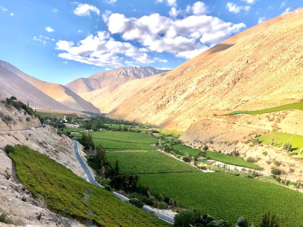 Pisco Chile A.G. anuncia la salida de su gerente general tras 12 años de gestión